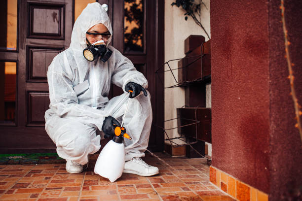 Reliable Cockroach Control contractor in Tullahoma, TN by Nex Pest Control
